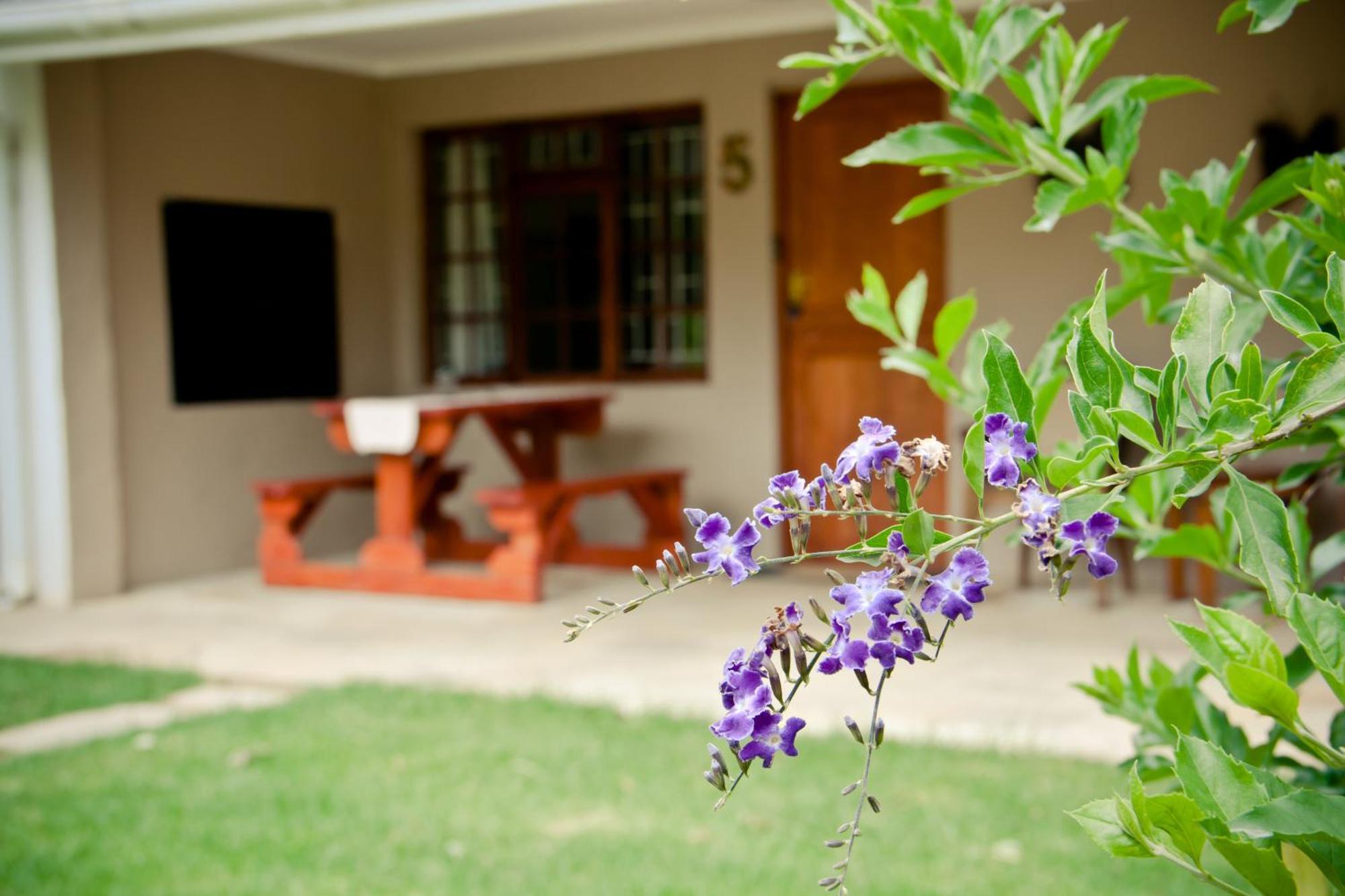 De Old Drift Guest Farm Villa Addo Oda fotoğraf