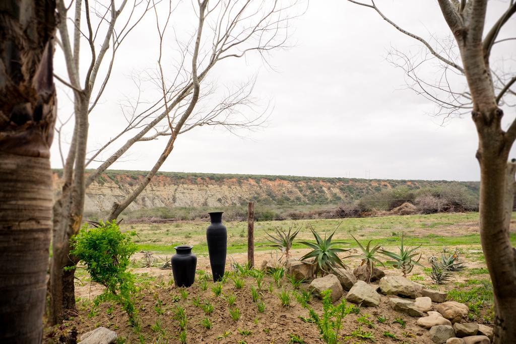 De Old Drift Guest Farm Villa Addo Dış mekan fotoğraf