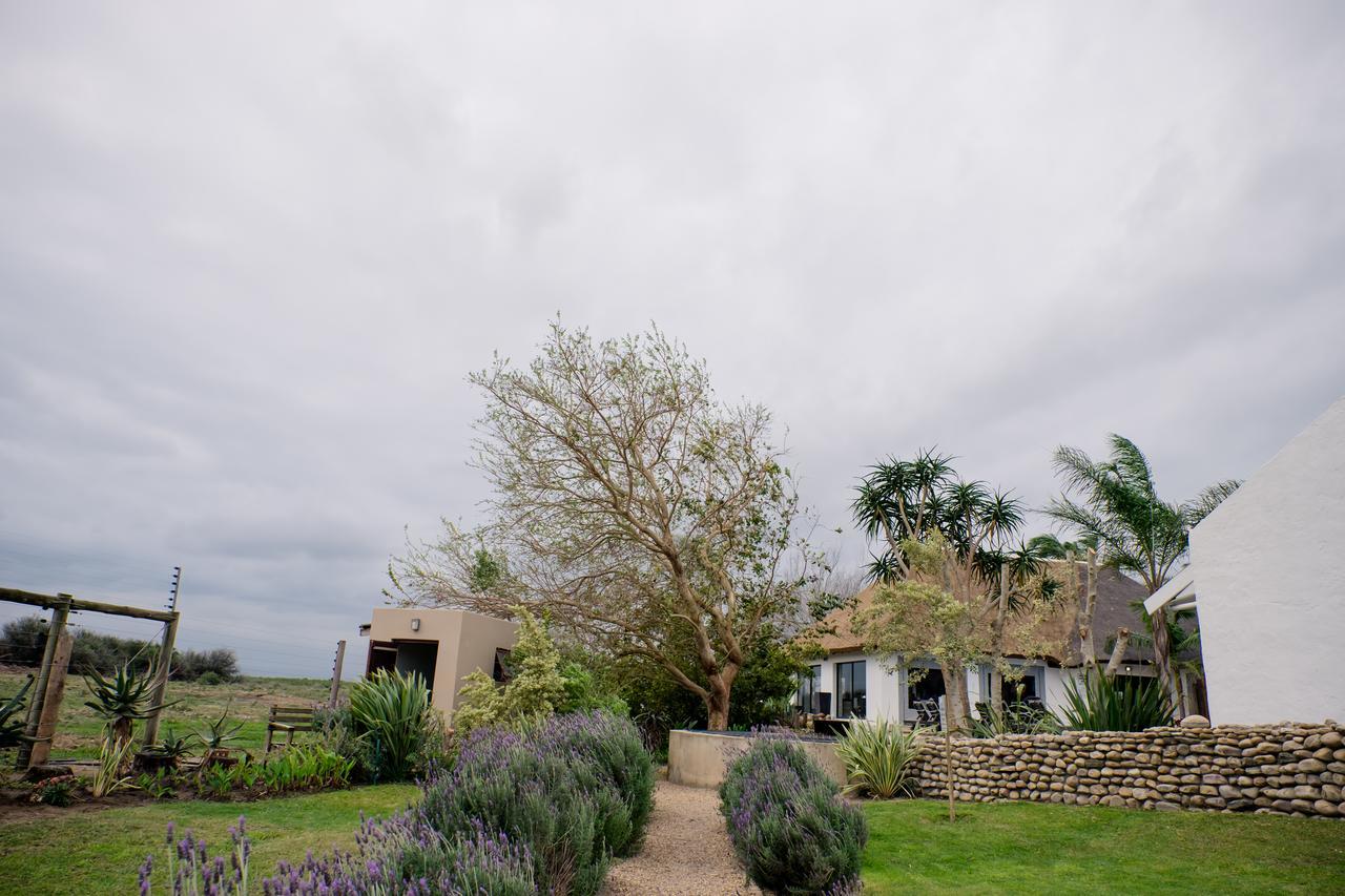 De Old Drift Guest Farm Villa Addo Dış mekan fotoğraf
