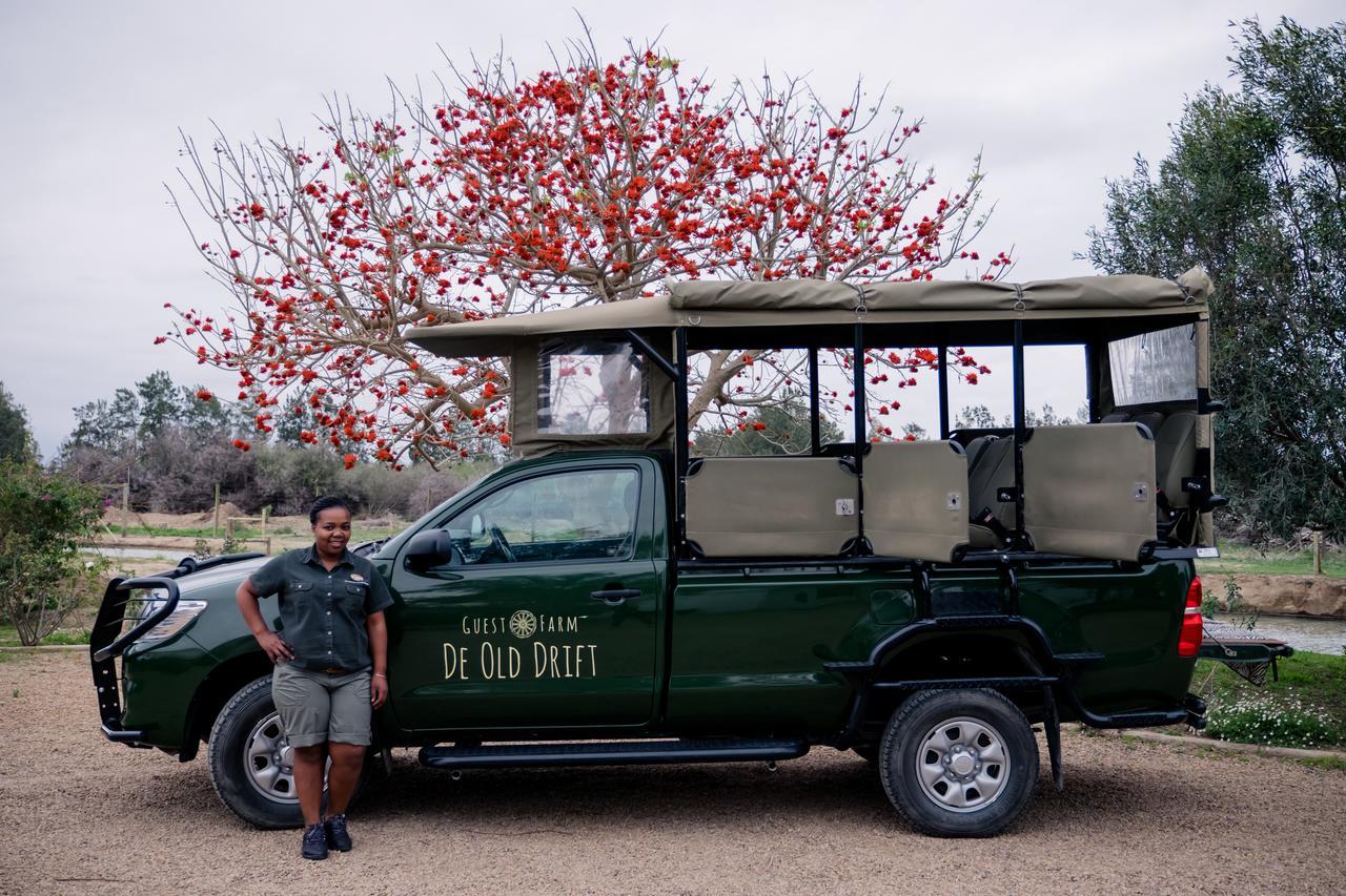 De Old Drift Guest Farm Villa Addo Dış mekan fotoğraf